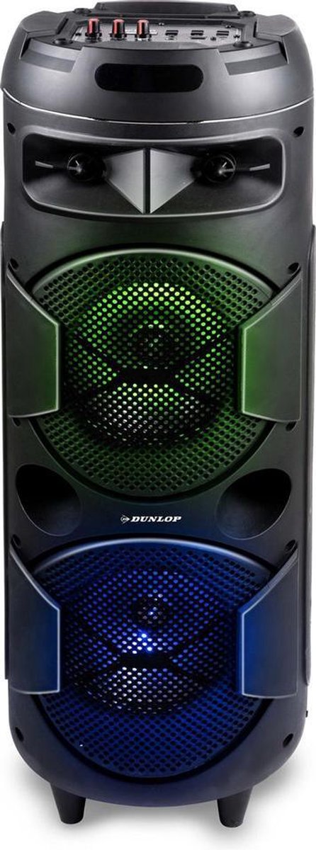 Oplaadbare luidspreker - Bluetooth Speaker - Draagbare Speaker - 2 x 20 Watt - Microfoonaansluiting - FM Radio