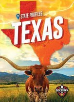 State Profiles- Texas