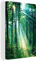 Lumière dans la forêt sur toile 2cm 60x90 cm - Tirage photo sur toile (Décoration murale salon / chambre)