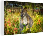 Canvas schilderij 180x120 cm - Wanddecoratie Wallaby in de natuur - Muurdecoratie woonkamer - Slaapkamer decoratie - Kamer accessoires - Schilderijen