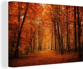 Canvas schilderij - Bos - Herfst - Bladeren - Rood - Canvas doek - Muurdecoratie - 150x100 cm - Woonkamer - Foto op canvas