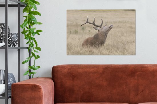 Cerf avec la tête en l'air toile 2cm 60x40 cm - Tirage photo sur toile peinture (Décoration murale salon / chambre) / animaux sauvages Peintures sur toile