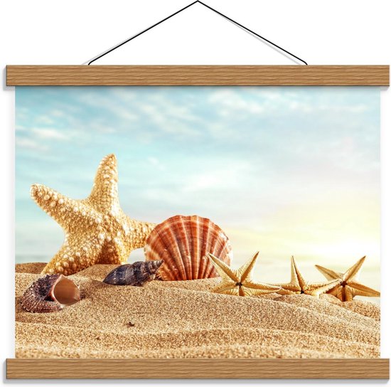 Schoolplaat – Zeeschelpen op het Strand - 40x30cm Foto op Textielposter (Wanddecoratie op Schoolplaat)