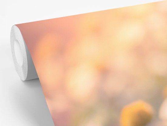 Papier peint Papier peint photo en vinyle - Papillon sur fleur de camomille largeur 450 cm x hauteur 300 cm - Tirage photo sur papier peint (disponible en 7 tailles)