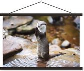 Loutre se dresse debout affiche textielposter lattes noir 60x40 cm