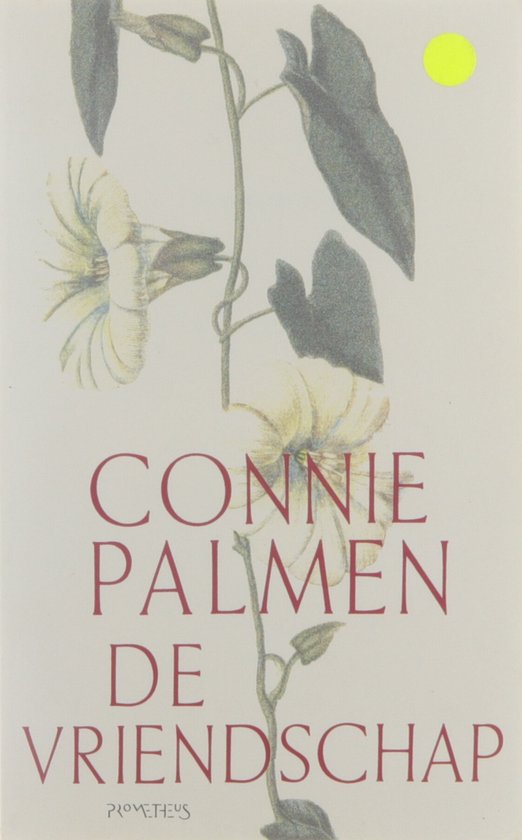 Cover van het boek 'De vriendschap' van Connie Palmen