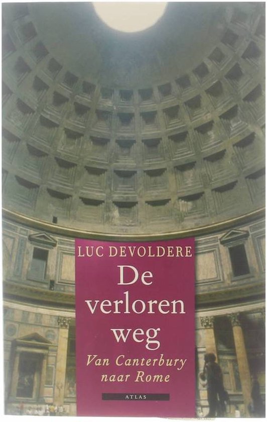 Cover van het boek 'De verloren weg' van Luc Devoldere