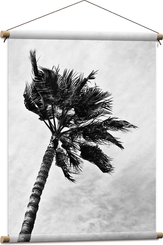 Textielposter - Harde Wind bij Palmboom - Zwart/Wit - 60x80 cm Foto op Textiel