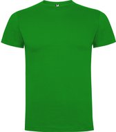 Gras groen 2 pack t-shirts Roly Dogo maat XL