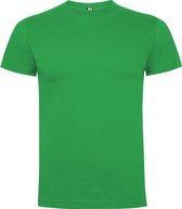 Iers Groen 2 pack t-shirts Roly Dogo maat XL