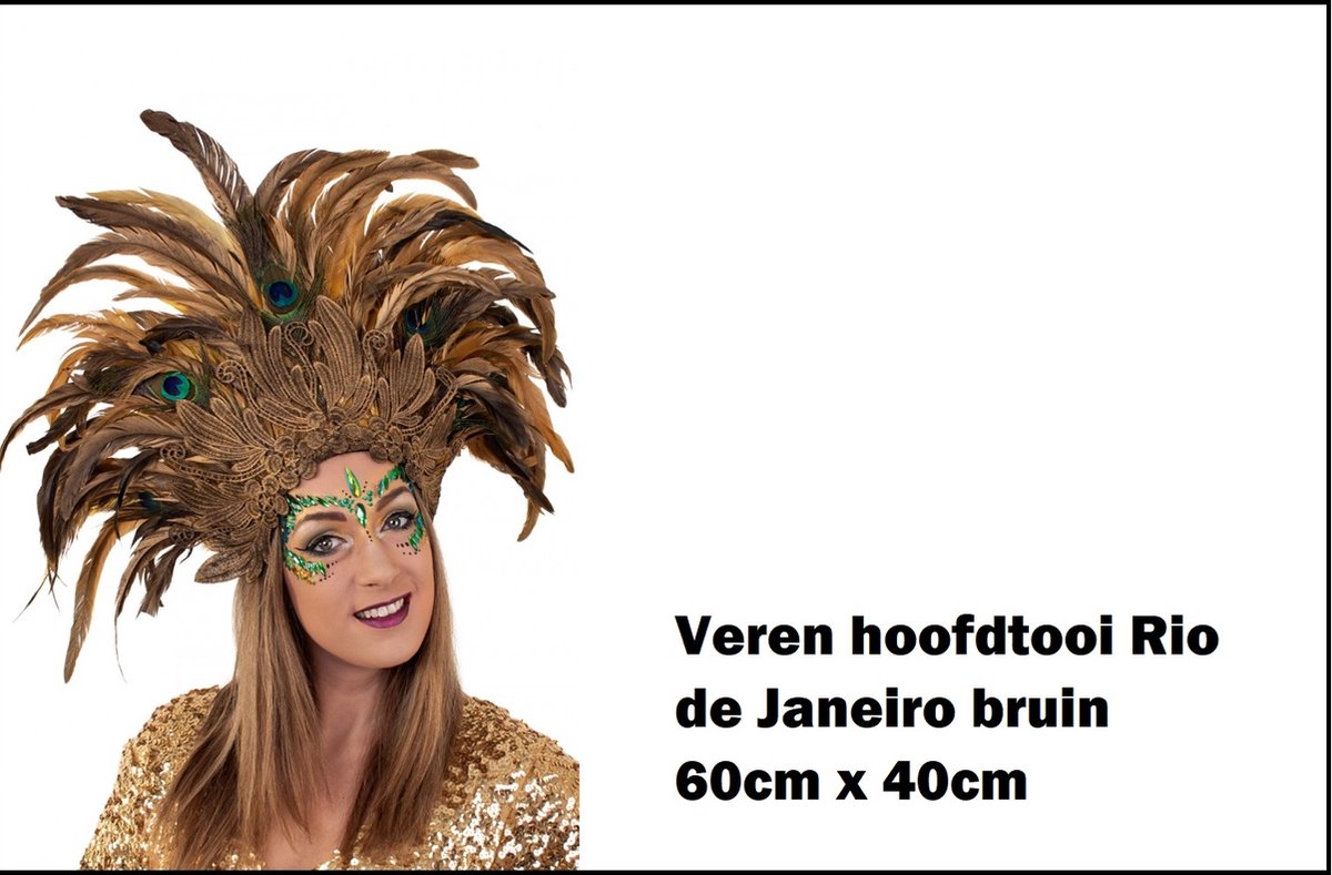 Luxe veren hoofdtooi Rio de Janeiro bruin - Carnaval brasil thema feest party festival fun optocht - Merkloos