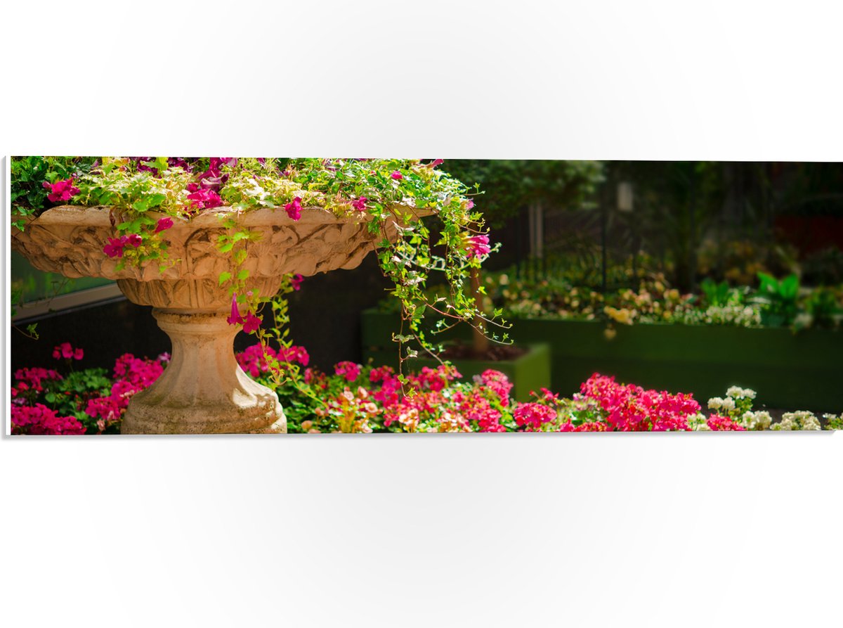 PVC Schuimplaat - Felroze Bloemen uit Fontein - 60x20 cm Foto op PVC Schuimplaat (Met Opha