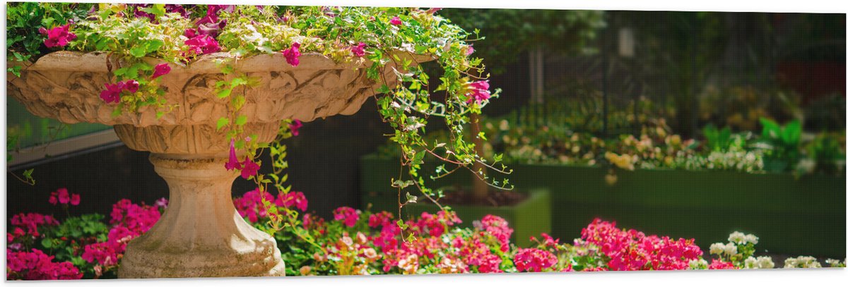 Vlag - Felroze Bloemen uit Fontein - 120x40 cm Foto op Polyester Vlag
