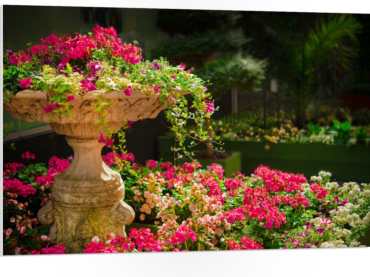PVC Schuimplaat- Felroze Bloemen uit Fontein - 105x70 cm Foto op PVC Schuimplaat