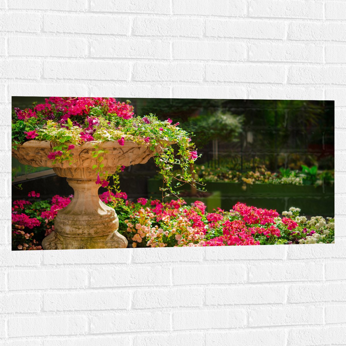 Muursticker - Felroze Bloemen uit Fontein - 100x50 cm Foto op Muursticker