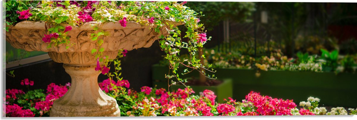 Acrylglas - Felroze Bloemen uit Fontein - 60x20 cm Foto op Acrylglas (Wanddecoratie op Acr