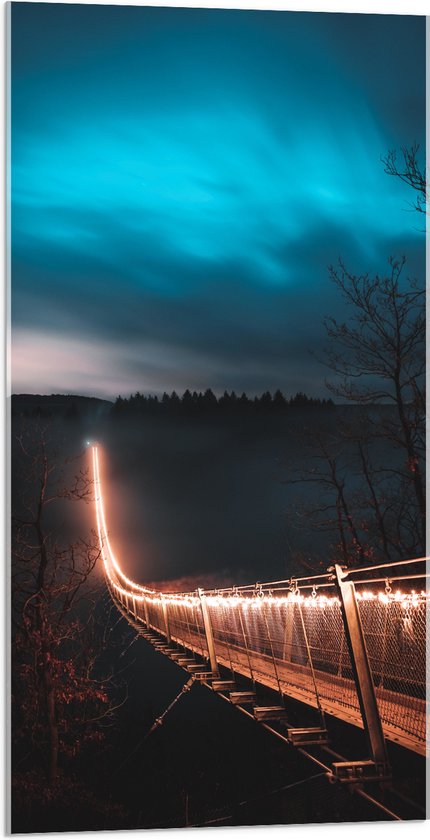 Acrylglas - Verlichte Brug in Nacht - 50x100 cm Foto op Acrylglas (Wanddecoratie op Acrylaat)