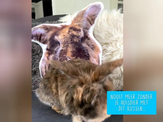 PillowBuddies - Oreiller câlin avec propre impression - 30 cm - de votre animal de compagnie, visage, véhicule, etc. - avec eigen photo - Coussin pour chien - Coussin pour chat