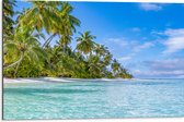 Dibond - Tropisch Strand met Palmbomen - 75x50 cm Foto op Aluminium (Met Ophangsysteem)