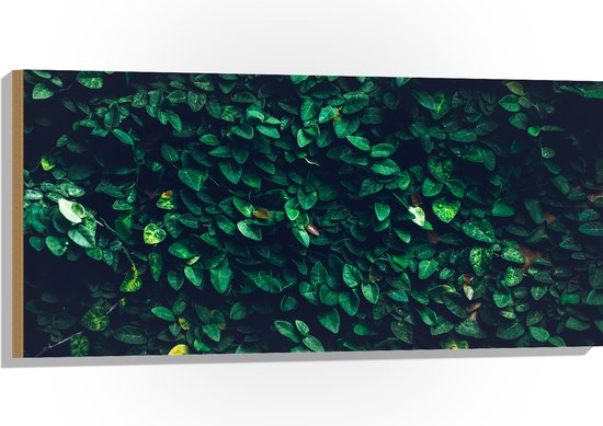 Hout - Muur van Groene Bladeren - 100x50 cm - 9 mm dik - Foto op Hout (Met Ophangsysteem)