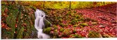 Acrylglas - Waterval in Herfstachtig Bos - 120x40 cm Foto op Acrylglas (Wanddecoratie op Acrylaat)