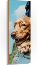 WallClassics - Hout - Bruine Hond hangend uit Autoraam - 30x90 cm - 9 mm dik - Foto op Hout (Met Ophangsysteem)