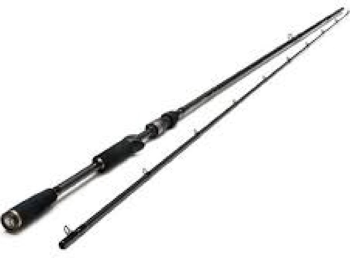 Westin W3 Powerstrike-T 2nd 2,40 m 40-100 gr MH