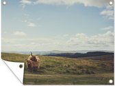 Tuinschilderij Schotse Hooglanders - Gras - Wolken - Dieren - 80x60 cm - Tuinposter - Tuindoek - Buitenposter