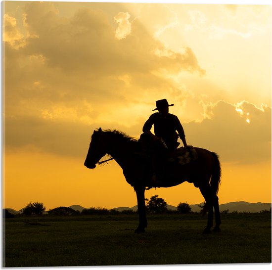 Acrylglas - Silhouet van Cowboy op zijn Paard tijdens Mooie Zomerse Zonsondergang - 50x50 cm Foto op Acrylglas (Met Ophangsysteem)