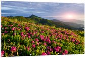 Tuinposter – Zon Verdwijnend Achter Bergen bij Roze Bloemenveld - 150x100 cm Foto op Tuinposter (wanddecoratie voor buiten en binnen)