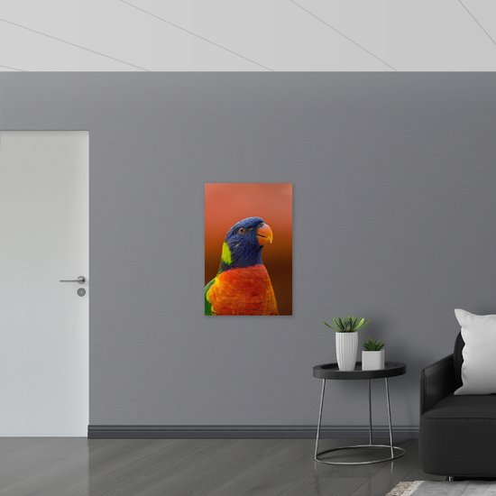 WallClassics - Dibond - Perroquet joyeux aux couleurs vives - Photo sur aluminium 60x90 cm (Décoration murale en métal)