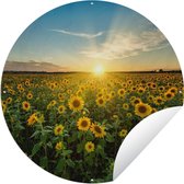 Tuincirkel Zonsondergang - Bloemen - Zonnebloem - Horizon - Landschap - 60x60 cm - Ronde Tuinposter - Buiten