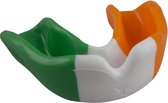 Gilbert Bitje Vlag Ierland - Kids