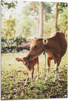 Tuinposter – Ree met Baby in het Gras van een Bos - 70x105 cm Foto op Tuinposter (wanddecoratie voor buiten en binnen)