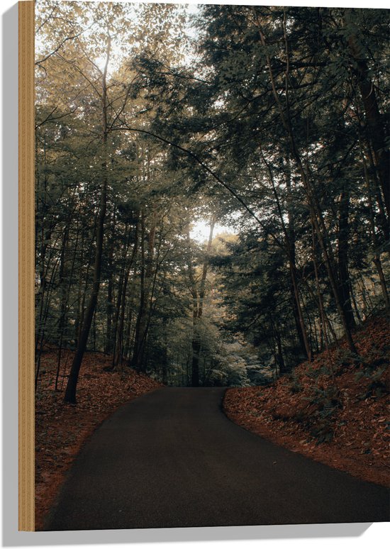 WallClassics - Bois - Chemin forestier - 40x60 cm - Épaisseur 9 mm - Photo sur bois (avec système de suspension)