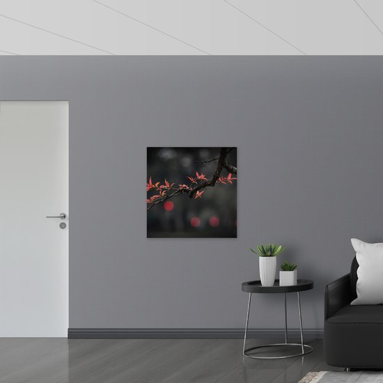 WallClassics - Panneau de mousse PVC - Feuilles rouges étroites sur une branche d'arbre - Photo 80 x 80 cm sur panneau de mousse PVC