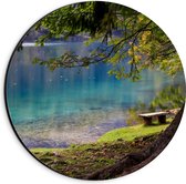 WallClassics - Dibond Muurcirkel - Bankje aan het Water bij Oude Grote Boom - 20x20 cm Foto op Aluminium Muurcirkel (met ophangsysteem)