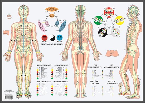 Poster Anatomie méridiens et cinq éléments (NL, EN, DU, FR, laminé