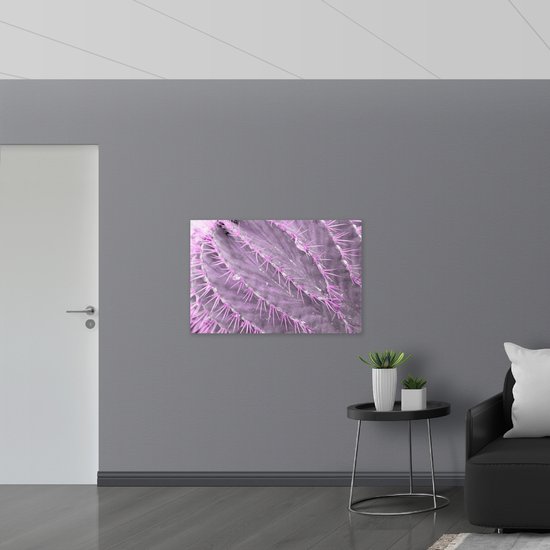 Poster (Mat) - Close-up van Cactus in het Paars - 105x70 cm Foto op Posterpapier met een Matte look