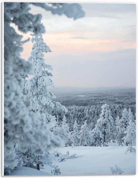 WallClassics - PVC Schuimplaat - Uitzicht over Wit Sneeuwlandschap - 30x40 cm Foto op PVC Schuimplaat (Met Ophangsysteem)