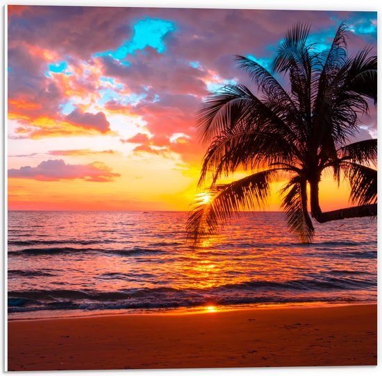 PVC Schuimplaat- Palmboom op Prachtig Verlaten Strand met Zonsondergang - 50x50 cm Foto op PVC Schuimplaat