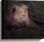 Canvas - Leeuw met Lange Manen Liggend in Groen Landschap - 40x40 cm Foto op Canvas Schilderij (Wanddecoratie op Canvas)
