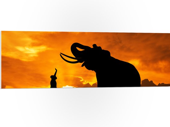 PVC Schuimplaat - Silhouet van Olifant met Persoon en Vogels in Afrika - 120x40 cm Foto op PVC Schuimplaat (Met Ophangsysteem)