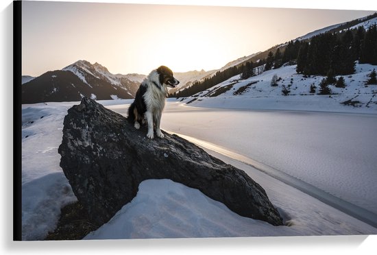 WallClassics - Canvas - Hond op een Rots in de Sneeuw tussen de Bergen - 90x60 cm Foto op Canvas Schilderij (Wanddecoratie op Canvas)