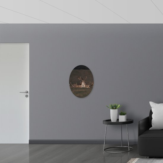 WallClassics - Dibond Ovaal - Herten met grote Geweien - 51x68 cm Foto op Ovaal (Met Ophangsysteem)