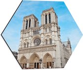 WallClassics - Dibond Hexagon - Notre-Dame Kathedraal - Parijs - 40x34.8 cm Foto op Hexagon (Met Ophangsysteem)