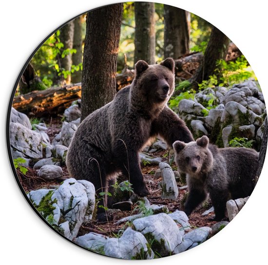 WallClassics - Dibond Muurcirkel - Grizzlybeer met Baby Beer in het Bos - 20x20 cm Foto op Aluminium Muurcirkel (met ophangsysteem)