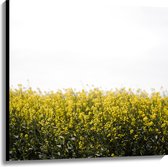 Canvas - Gele Bloementjes - 100x100 cm Foto op Canvas Schilderij (Wanddecoratie op Canvas)