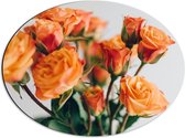 Dibond Ovaal - Bos met Oranje Rozen - 56x42 cm Foto op Ovaal (Met Ophangsysteem)