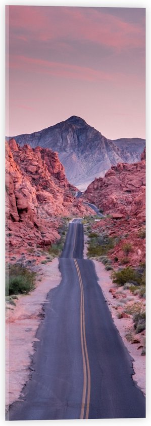 WallClassics - Acrylglas - Weg in Valley of Fire State Park in Nevada - 20x60 cm Foto op Acrylglas (Met Ophangsysteem)